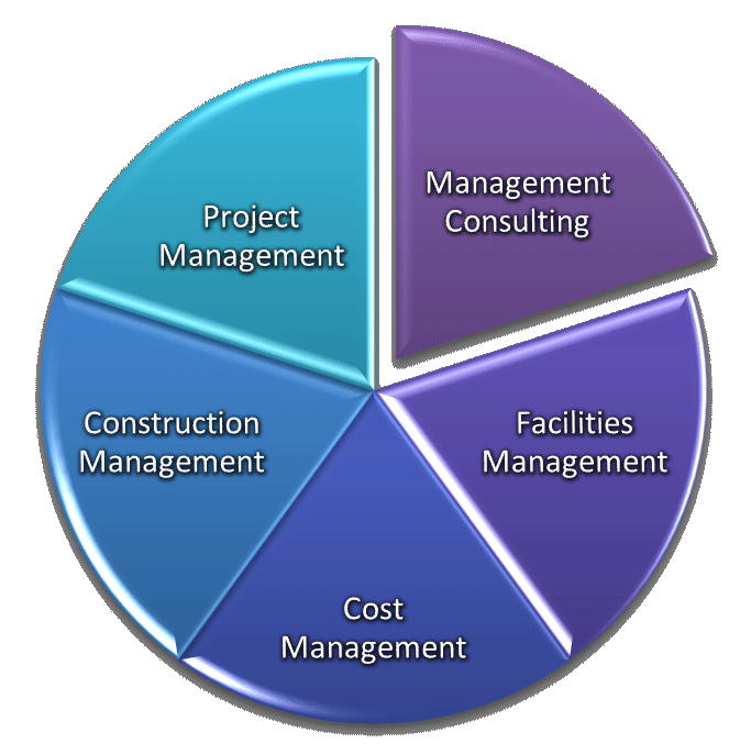 Management Consulting